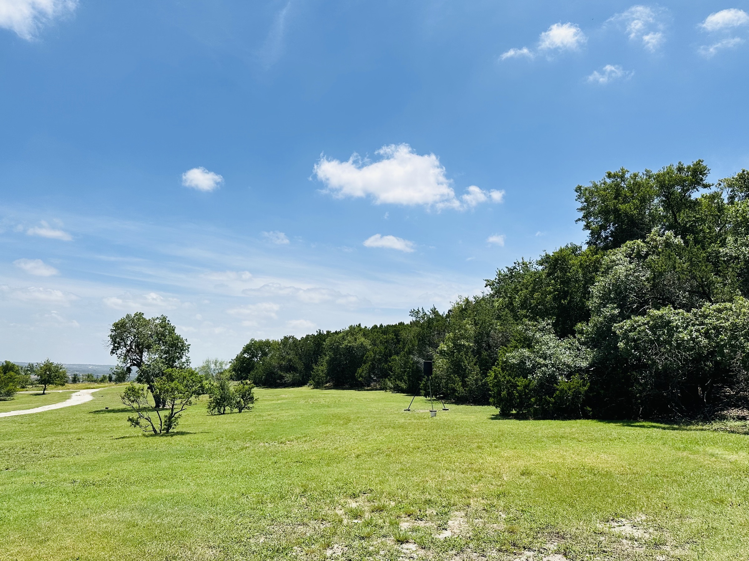 Lush green acreage and mature trees on the property