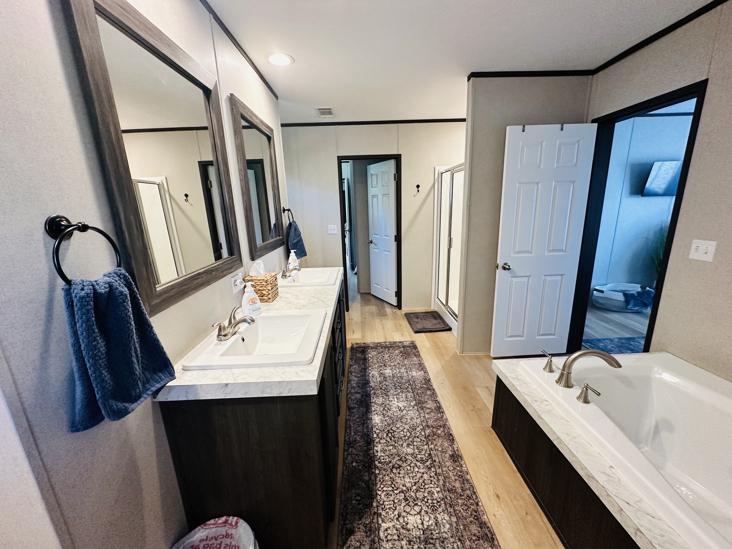 Primary bath vanity and soaking tub
